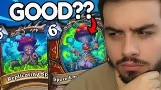 Is Moldara Good?
