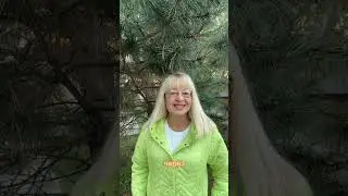 Нас подводят к японским событиям?