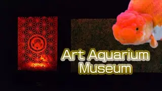 Aqua Art Extravaganza in the heart of Ginza Tokyo!