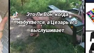 #шампанскоеирозы #шампанское #и #розы #вреках #manhwa #врекомендации #николай #ливон