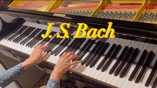 J. S. Bach Invention No. 14 in B flat major BWV 785