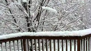Snow - Nov. 13, 2011 -1