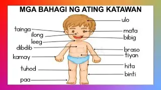 Iba't Ibang Bahagi ng Aking Katawan | Kindergarten Quarter 1 Week 5 | Parts of the body tagalog