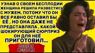 КОГДА ОНА УЗНАЛА О БЕСПЛОДИИ СРАЗУ ХОТЕЛА РАЗВЕСТИСЬ НО МУЖ ПРИГОТОВИЛ ЕЙ ШОКИРУЮЩИЙ СЮРПРИЗ....