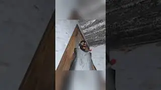 I Clipped GRANDMA.. #granny #vrhorror #funny