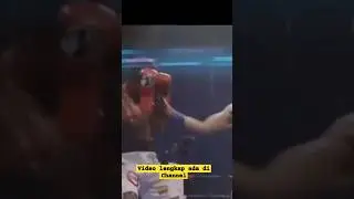 Tinju Dunia Brutal Pukulan Batu Karang Keras #benavidez