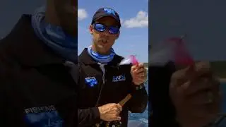Chasing Marlin on Fly #fishingtips #fishing #tips #marlinfishing #flyfishing #lure #fishinglures