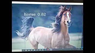 Object Detection task using openCV||python