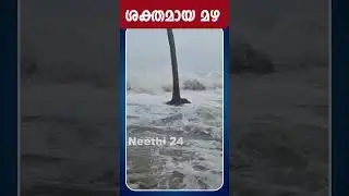 ശക്തമായ മഴ | Rain Alert | Kerala Weather update | Neethi 24