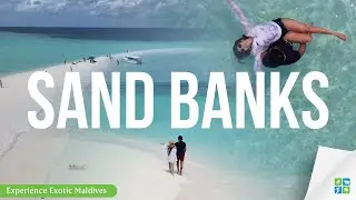 Maldives Sand Bank Experience