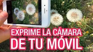Exprime la cámara de tu móvil