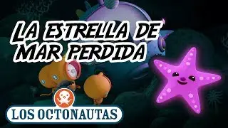 Los Octonautas Oficial Español | La estrella de mar perdida | Episodio 32