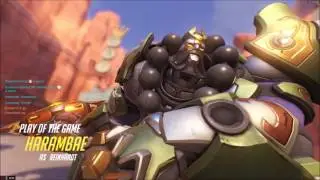 Harambae's Hammer