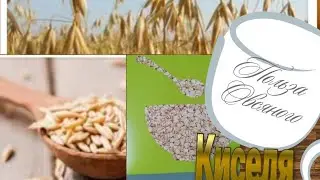 Бабушкин рецепт овсяного киселя #овсяныйкисель