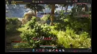 Black Desert вторая осада узлов