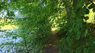Burgwalden Fairytale Lakeside Trails 🇩🇪 | Peaceful Forest Walk Along Hidden Shore Paths in 4K