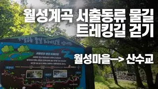 물소리 들으며 월성계곡 서출동류 물길 트레킹길 걷기