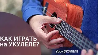 Укулеле. Знакомство с инструментом. Обучение игре на укулеле. Аккорды.