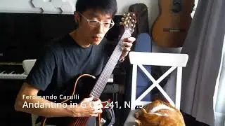 Andantino in G Op.241, No.5 - Ferdinando Carulli - Classical Guitar - 20240824