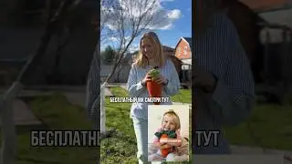 Мк «плюшевая морковка» в ленте! 