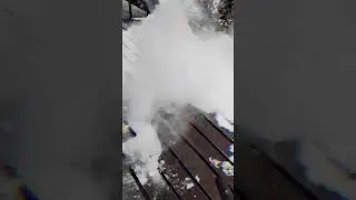 бедный Игорь