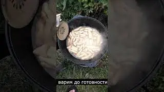 Жижиг галнаш