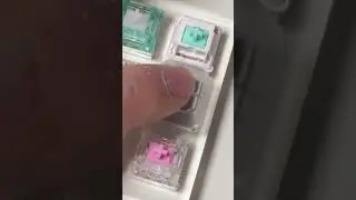 King of the Everglide Switches