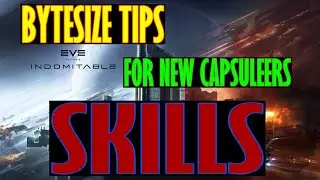 Skills, Bytesize Tips For New Capsuleers, EVE Echoes
