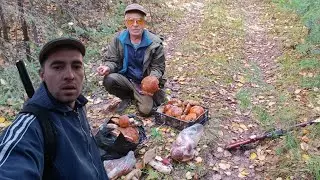 попали в грибной рай. нашли хороший металл в тайге. готовим рябчика