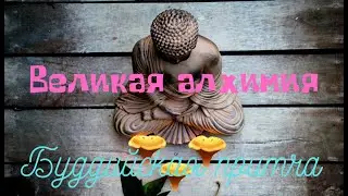 Великая алхимия.  Буддийская притча.
