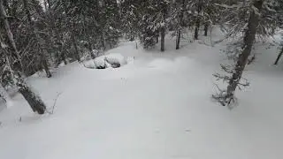 Зюраткуль, Средний Нургуш 28.02.21., спуск по лесу
