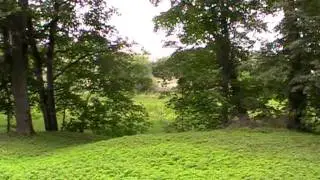 MOV03F