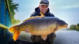 Tips voor karpervissen op kanalen! 🎣