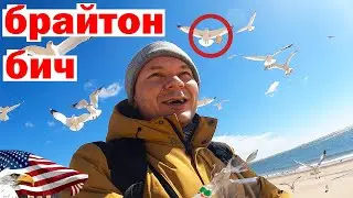 Брайтон Бич. Кормление чаек