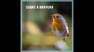 Sobre a Bravura - Anima Mea feat Rafa Bicalho