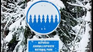 Финляндия 2018 . Камень Куммакиви. Парк Реповеси. Stone kummakivi. Repovesi