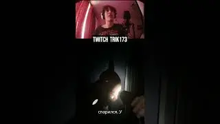 Как потерять тима twitch trik173 