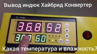 What is the temperature and humidity at hatching? Turkey Hybrid Converter.