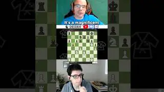 The Best Book for Advanced Players - Perfect Your Chess