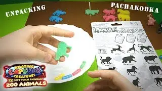 Capsule creatures zoo animals