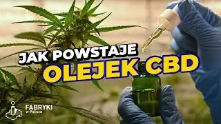 Jak powstają różne wyroby z konopi?