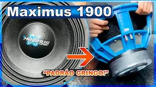 Protech MAXIMUS 1900 RMS 15-Inch Woofer - Review and Practical Test
