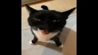 💀
