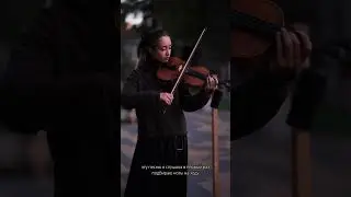 Музыкант - Воскресенье. ig📸: @vitaliy_foto #music  #viola #cover #скрипка #альт #violin