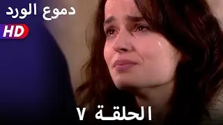 دموع الورد الحلقة  ٧ بجودة عالية