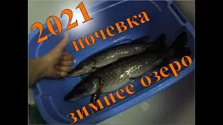 НОЧЕВКА НА ЗИМНЕМ ОЗЕРЕ 2021