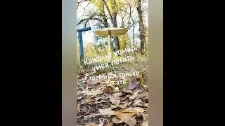 Главное отличие человека от комара 
