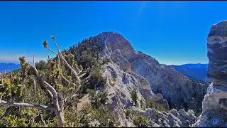 Mummy’s Chin Summit Ridge Loop | Mt Charleston Wilderness, Nevada