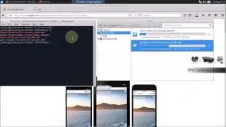 How to set up difference browsers in xubuntu part 1