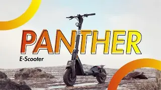 OKAI Panther ES800 | Off-road Fat-tire Super e-Scooter
